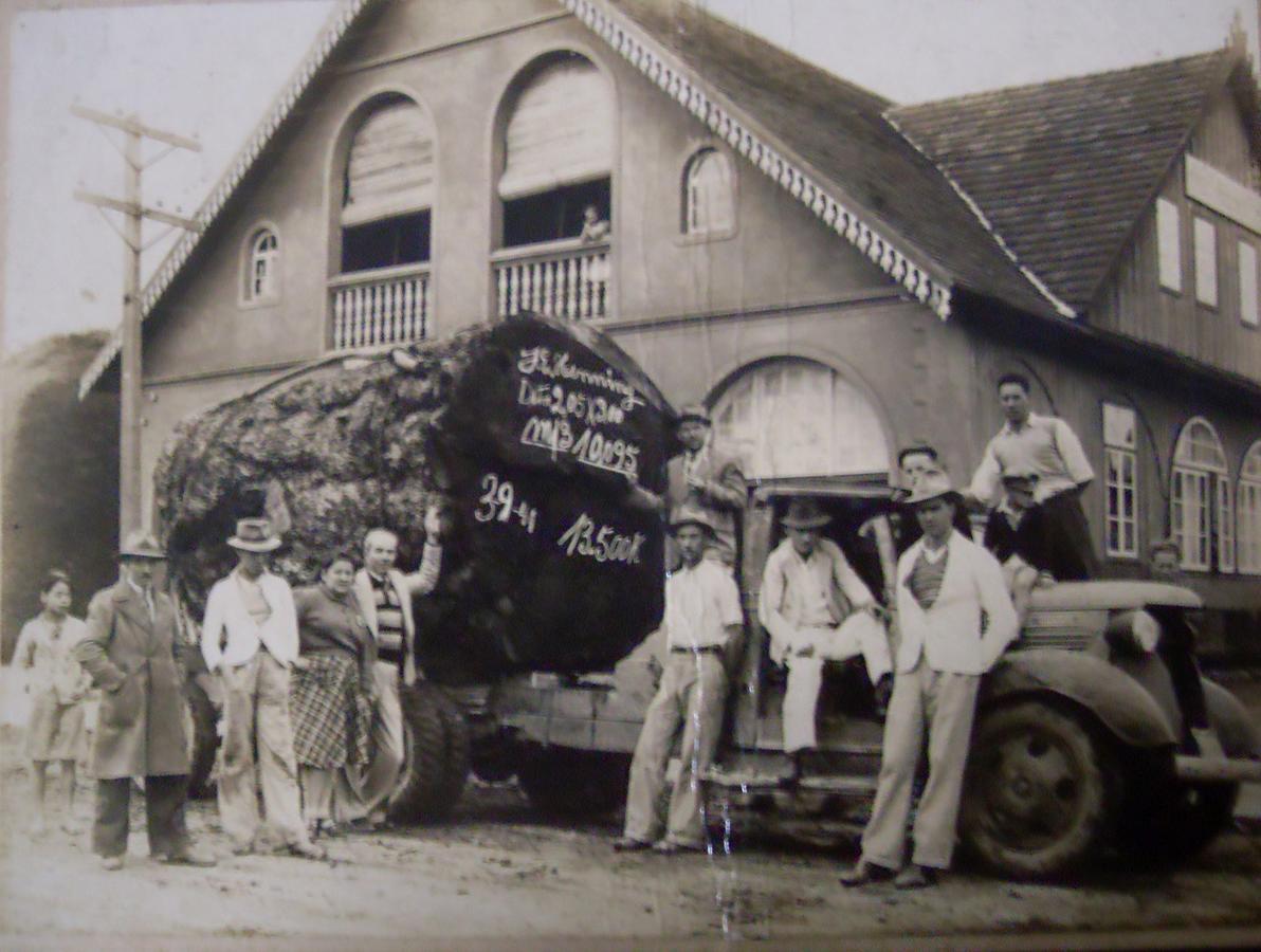 Hotel Scholze Canoinhas Kültér fotó